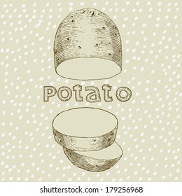 Vegetable illustration - potato