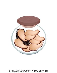 Vegetable, Illustration of Preserved Black Truffle Mushrooms or Lentinula Edodes Mushrooms in A Glass Jar Isolated on White Background. 