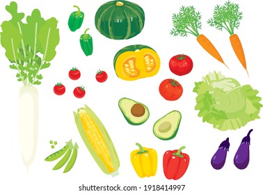 Vegetable illustration set on white background