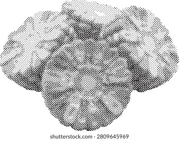 Vegetable illustration shaped like cabbage or lettuce head with artistic halftone shading on white background.