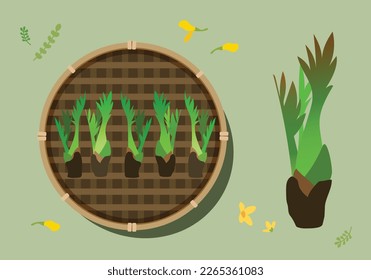 Vegetable Illustration in Spring in Korea
