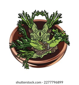 Vegetable Illustration in Spring in Korea. Fatsia Sprouts. Vector illustration. This illustration is Dooreup. It is a vegetable that is eaten in spring in Korea.