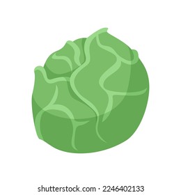 vegetable illustration vector, graphic design.