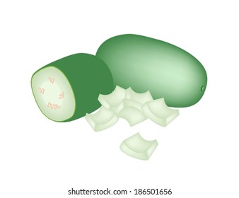 Vegetable, Illustration of Whole and Chopped Winter Melon, Wax Gourd or Chalkumra Isolated on White Background. 