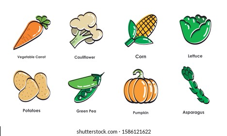 Vegetable images. Vegetable icons loose line. Carrot, cauliflower, corn, lettuce, potatoes, peas, squash and asparagus. Editable vector.