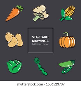 Vegetable images. Vegetable icons loose line. Carrot, cauliflower, corn, lettuce, potatoes, peas, squash and asparagus. Editable vector.