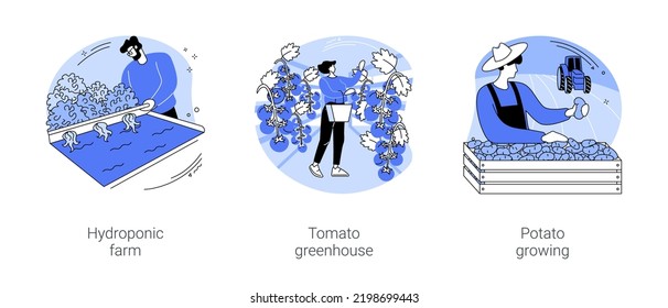 Vegetable industry isolated cartoon vector illustrations set. Hydroponic farm, leafy greens growing, tomato greenhouse, farmer cultivates potatoes on field, agribusiness worker vector cartoon.