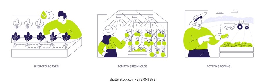 Vegetable industry isolated cartoon vector illustrations set. Hydroponic farm, leafy greens growing, tomato greenhouse, farmer cultivates potatoes on field, agribusiness worker vector cartoon.