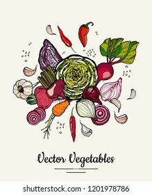 Vegetable isolated hand drawn illustration. Vector hipster hand drawn colored vegetables for vegetarian poster, cooking school, restaurant menu, food article, website, cooking book, shop, festival.