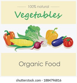 vegetable isolated on white background used for magazine, book, poster, card, menu cover, web pages