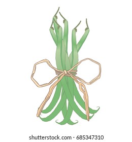 Vegetable isolated on white. Vegetarian bouquet with Green Beans.
