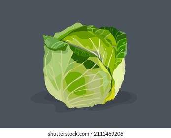 Vegetable juicy green white cabbage with leaves for food and kitchen.