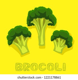 Vegetable Kind Broccoli Vector Illustration