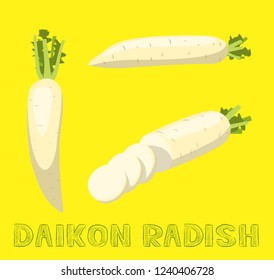 Vegetable Kind Daikon Radish Vector Illustration