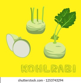 Vegetable Kind Kohlrabi Vector Illustration