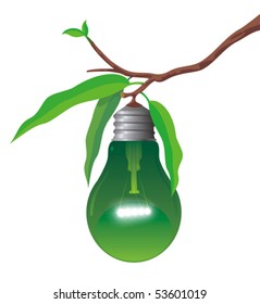 Vegetable lamp bulb as a green  fruit on a branch,isolated on white.