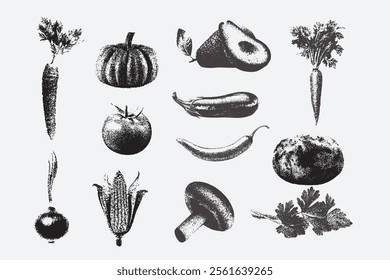 vegetable, Large Grain Photocopy Effect, for grunge punk y2k collage design
