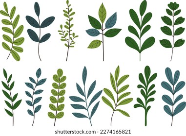 vegetable, leaves set in doodle style isolated, vector