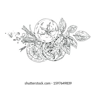 Vegetable line Art Vector Illustration