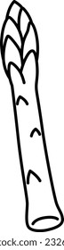 Vegetable line drawing single item icon Asparagus