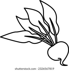 Vegetable line drawing single item icon Turnip