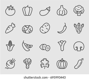 Vegetable line icon