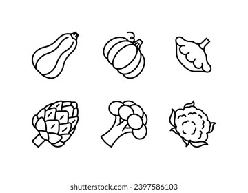 Vegetable line icon set - pumpkin, squash, artichoke, broccoli, cauliflower. Minimalist simple linear illustration. Editable icons, thin line