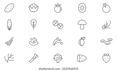 Conjunto de iconos de línea vegetal.  Comida vegetariana, nutrición adecuada, tomate, cereza, pepino, pimienta, brócoli, papa, zanahoria, repollo, calabaza, raíz, ajo línea conjunto de iconos. Paquete de iconos de línea delgada de interfaz de usuario.