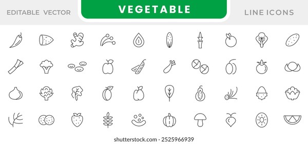 Conjunto de iconos de línea vegetal.  Comida vegetariana, nutrición adecuada, tomate, cereza, pepino, pimienta, brócoli, papa, zanahoria, repollo, calabaza, raíz, ajo línea conjunto de iconos. Paquete de iconos de línea delgada de interfaz de usuario.