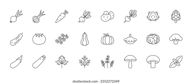 Vegetal, ícones de linha. Grande conjunto com cebola, alho, cenouras, batatas, pepino, tomate, abóbora, berinjela, repolho, brócolis, cogumelos, salsa, endro, tomilho, manjericão, alcachofra. Ilustrações lineares, e