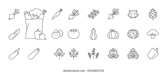 Vegetable, line icons - carrot, beet, onion, garlic, potatoes, pumpkin, cabbage, broccoli, pepper, zucchini, parsley, dill, cilantro and others. Full grocery bag. Linear illustration, editable stroke