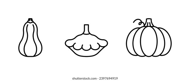 Vegetable line icons - squash, Pattypan squash, pumpkin. Edible orange plants. Different type of pumpkin. Minimalist simple linear illustration. Editable icons, thin line