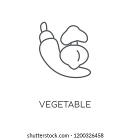 Vegetable linear icon. Vegetable concept stroke symbol design. Thin graphic elements vector illustration, outline pattern on a white background, eps 10.