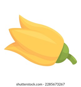 Vegetable marrow flower icon cartoon vector. Squash agriculture. Food garden