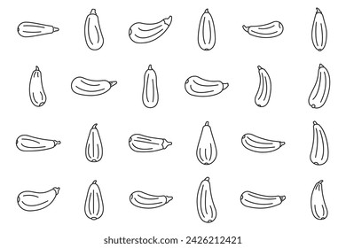 Vegetable marrow icons set outline vector. Agriculture zucchini. Squash diet fresh