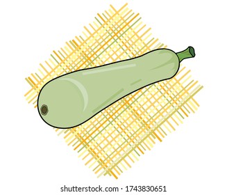 Médula vegetal en una cuadrícula de bandas de colores. Ilustración del vector, fondo aislado