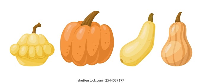 Vegetable melon crops. Pumpkin, squash and zucchini, orange fall harvest gourds, autumn thanksgiving and halloween vegetables flat vector illustration set. Cartoon cucurbitaceae