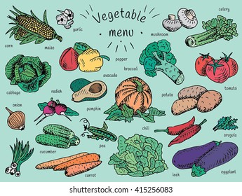 vegetable menu, garlic, mushroom, tomato, arugula, cucumber, pepper,  corn, carrot, potato, broccoli, avocado, radish, chili, pumpkin, eggplant, celery, onion, maize, cabbage, leek, pea