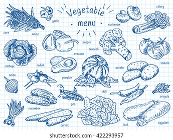 vegetable menu, garlic, mushroom, tomato, arugula, cucumber, pepper,  corn, carrot, potato, broccoli, avocado, radish, chili, pumpkin, eggplant, celery, onion, maize, cabbage, leek, pea