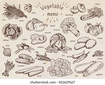 vegetable menu, garlic, mushroom, tomato, arugula, cucumber, pepper,  corn, carrot, potato, broccoli, avocado, radish, chili, pumpkin, eggplant, celery, onion, maize, cabbage, leek, pea
