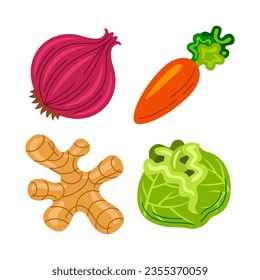 vegetable objects vector illustrations set