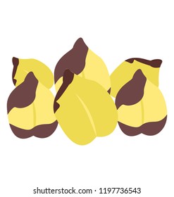 A vegetable often used in cooking,white  chickpea