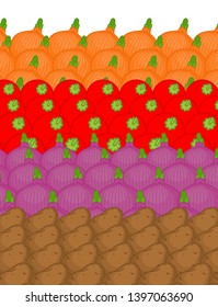 Vegetable on counter background. Potatoes and Onions and Tomatoes. Vegetables on market showcase. Cartoon style vector
