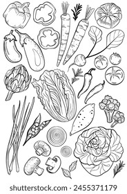 Vegetable on white background. Hand-drawn vector illustration. Drawing in black and white isolated background.