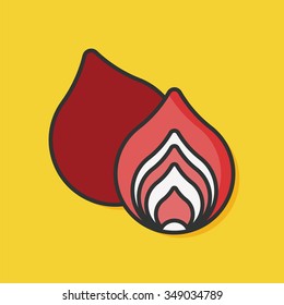 vegetable onion vector icon