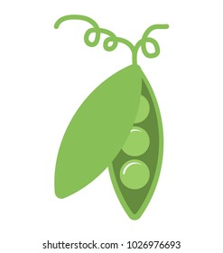 
Vegetable. Opened green peas with seeds, flat vector icon 
