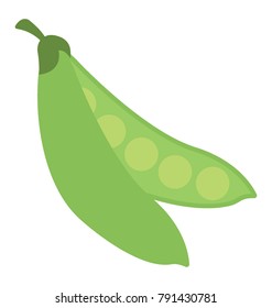 Vegetable. Opened green peas with seeds, flat vector icon 
