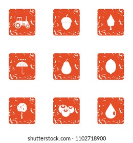 Vegetable orchard icons set. Grunge set of 9 vegetable orchard vector icons for web isolated on white background