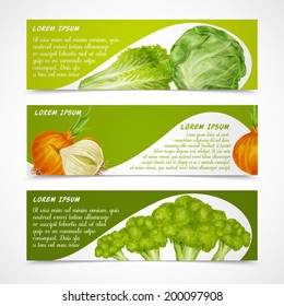 Vegetable organic food banners horizontal with salad onion broccoli isolated vector illustration.