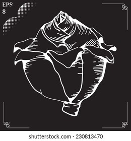 Vegetable organic food cabbage. Vector illustration drawn in chalk. Head of cabbage. Cabbage cartoon. Vector illustration of engraving cabbage on black background. Eps 8